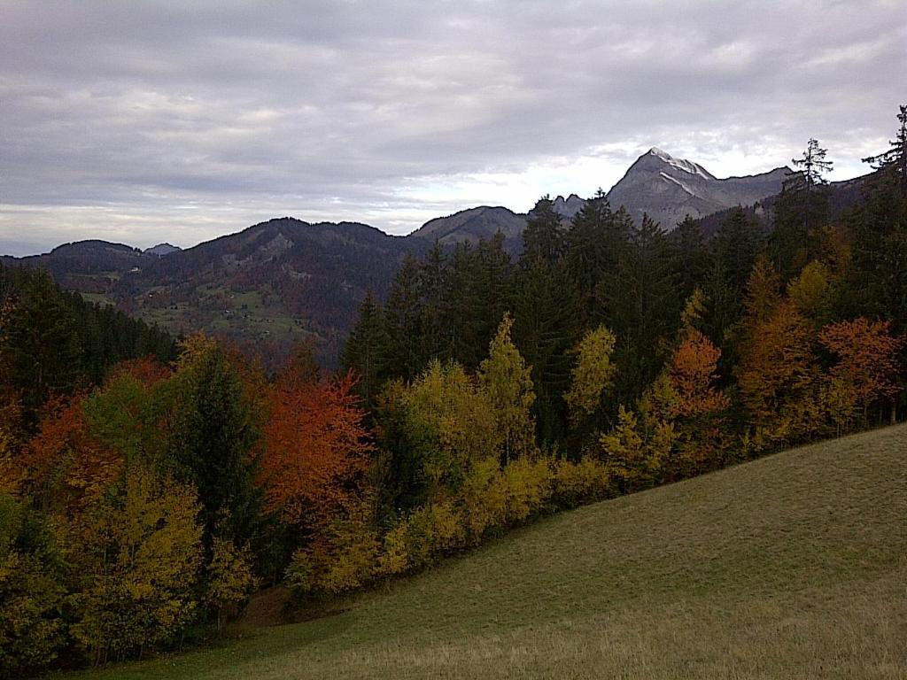 Chalet Nanook Notre-Dame-de-Bellecombe Zewnętrze zdjęcie