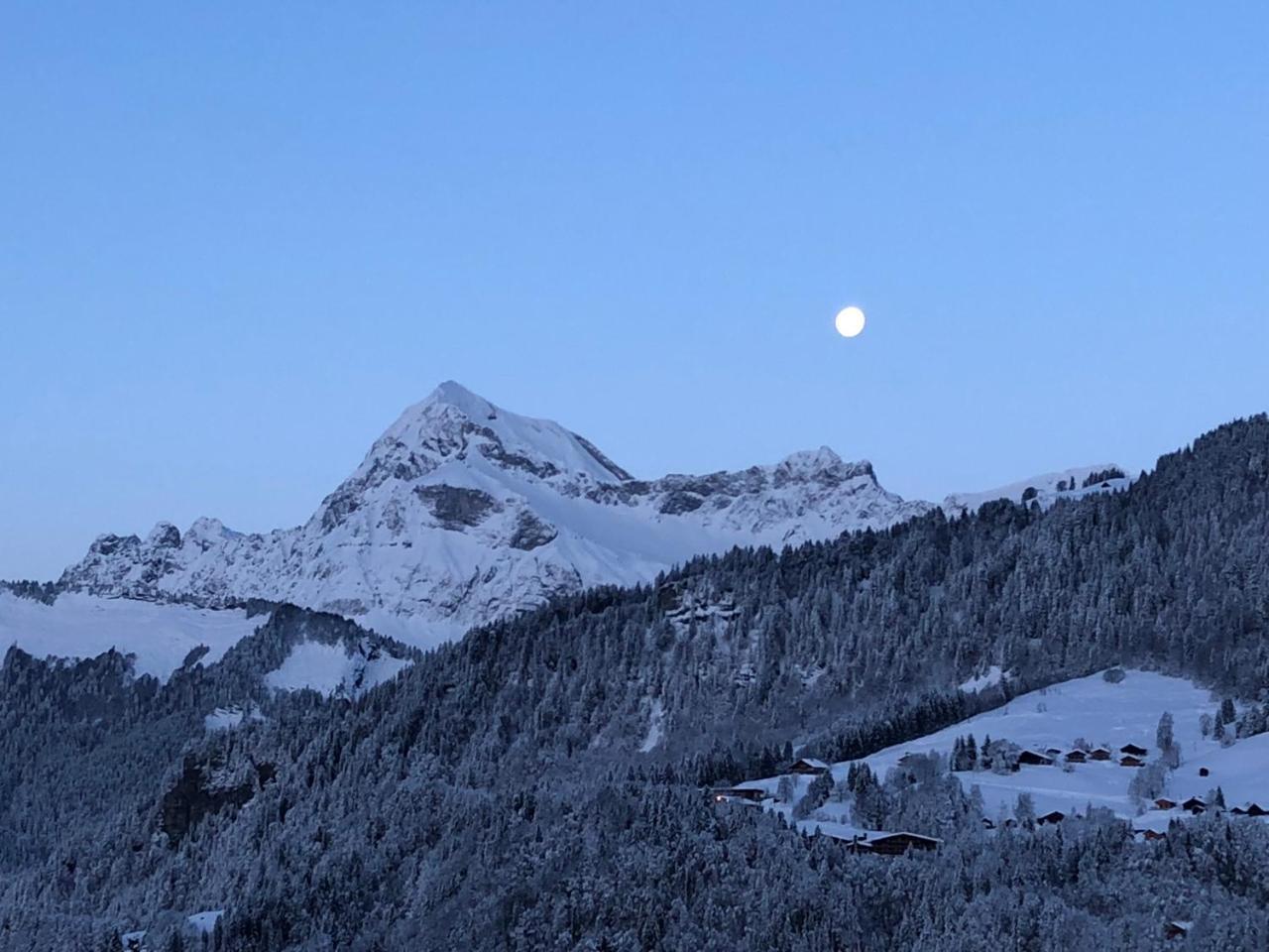 Chalet Nanook Notre-Dame-de-Bellecombe Zewnętrze zdjęcie