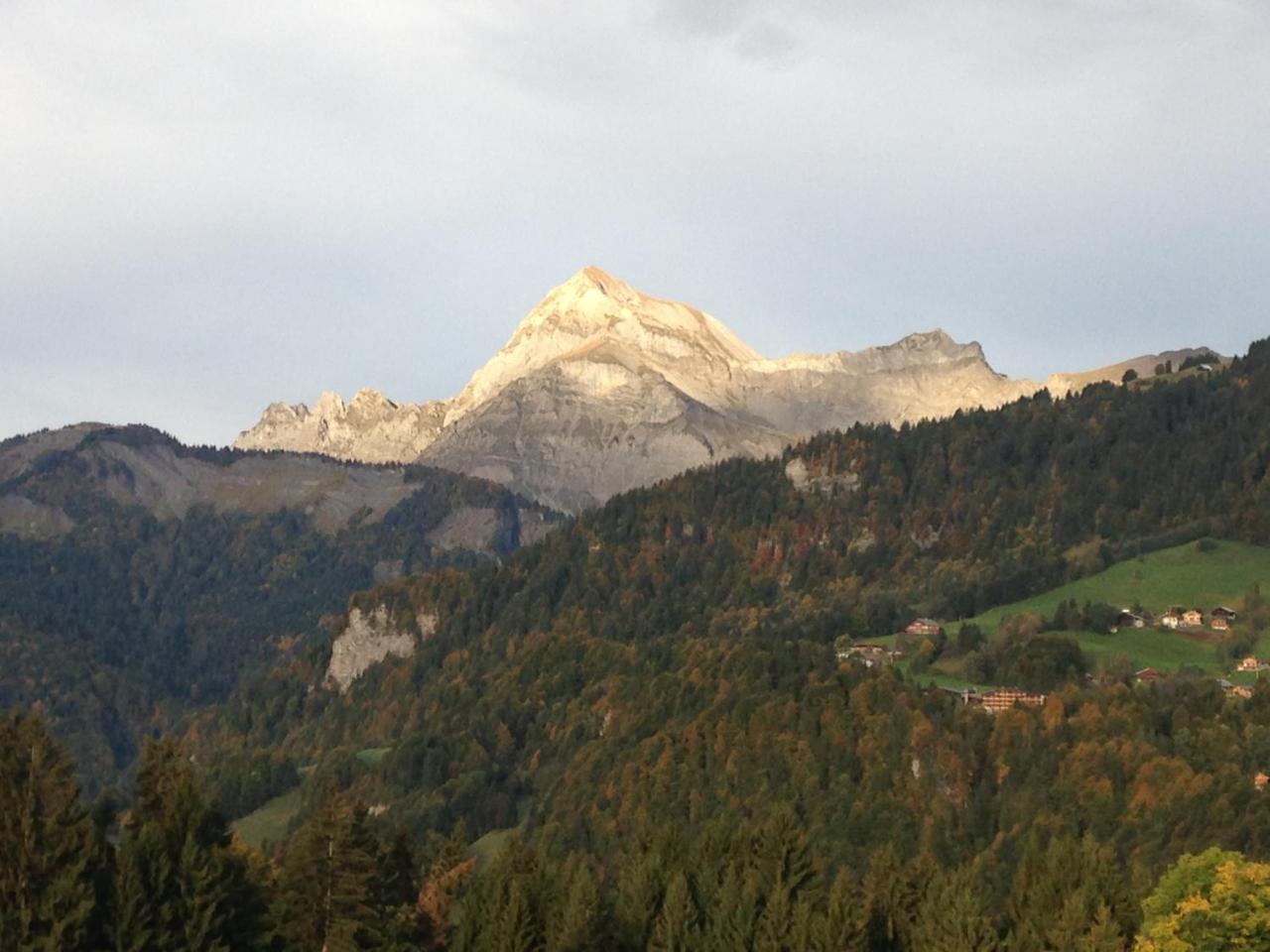 Chalet Nanook Notre-Dame-de-Bellecombe Zewnętrze zdjęcie