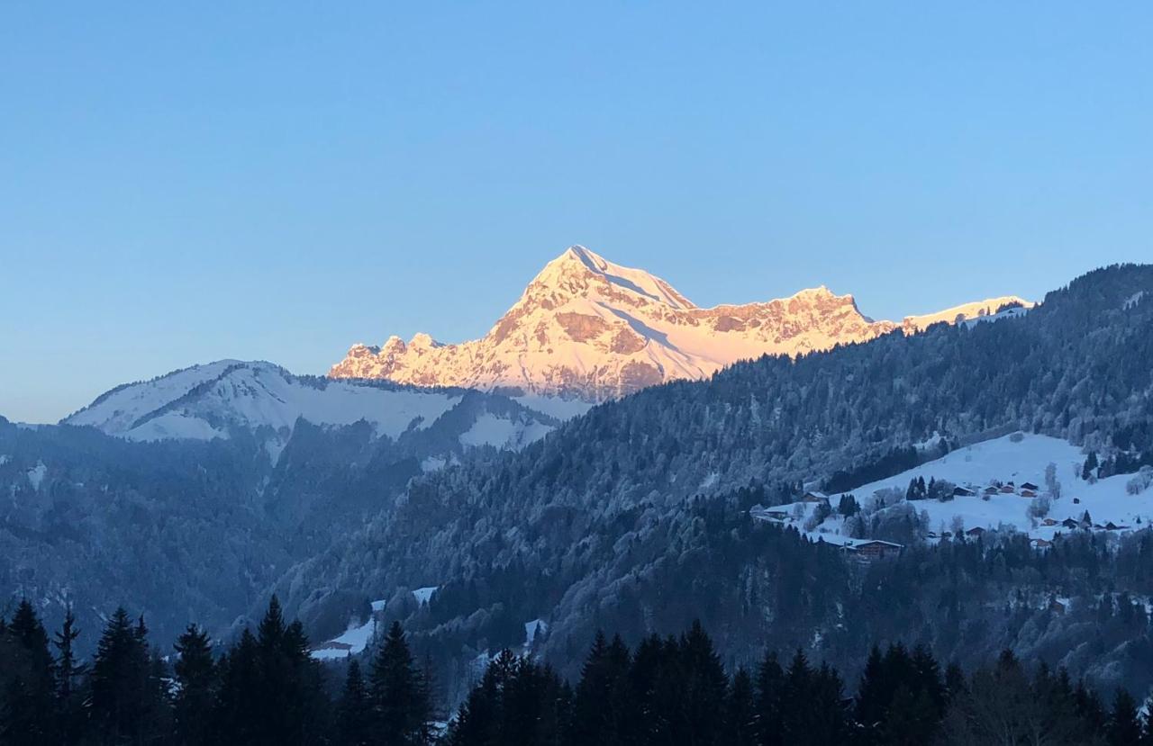 Chalet Nanook Notre-Dame-de-Bellecombe Zewnętrze zdjęcie